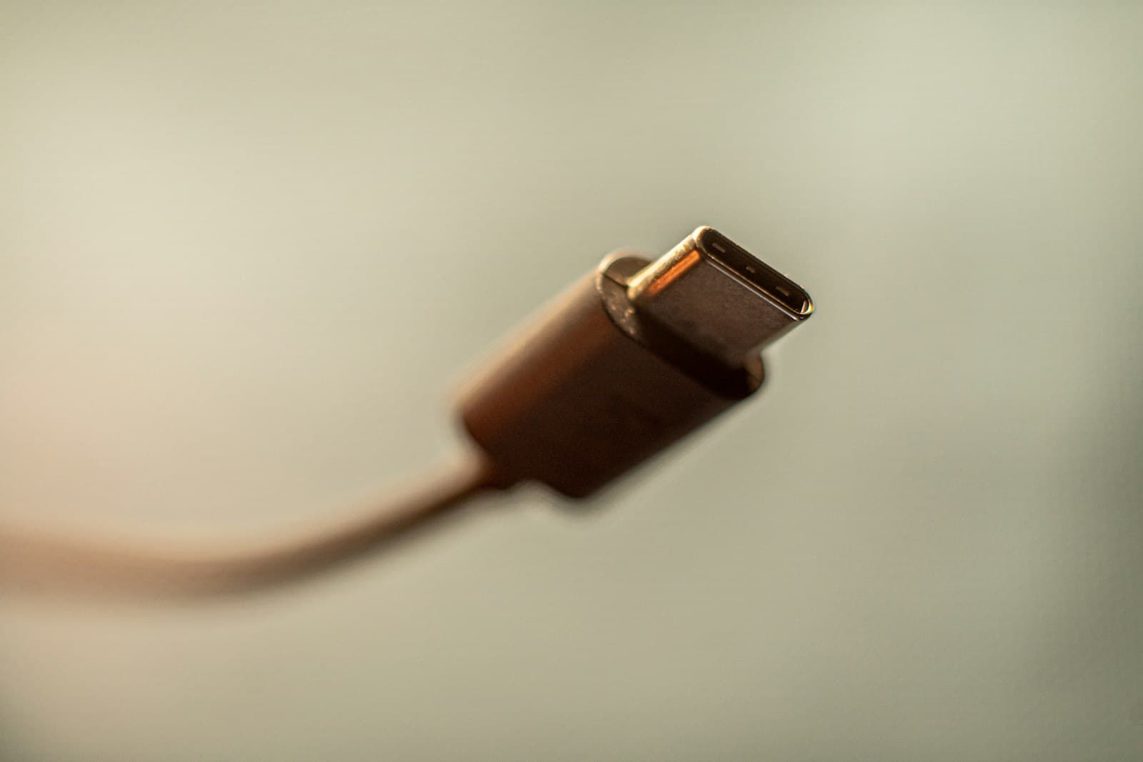 Close-up of a USB-C charging cable connector against a plain background